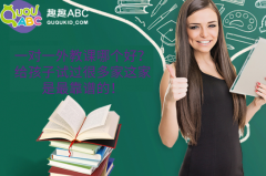 一對(duì)一外教課哪個(gè)好？給孩子試過(guò)很多家這家是最靠譜的！